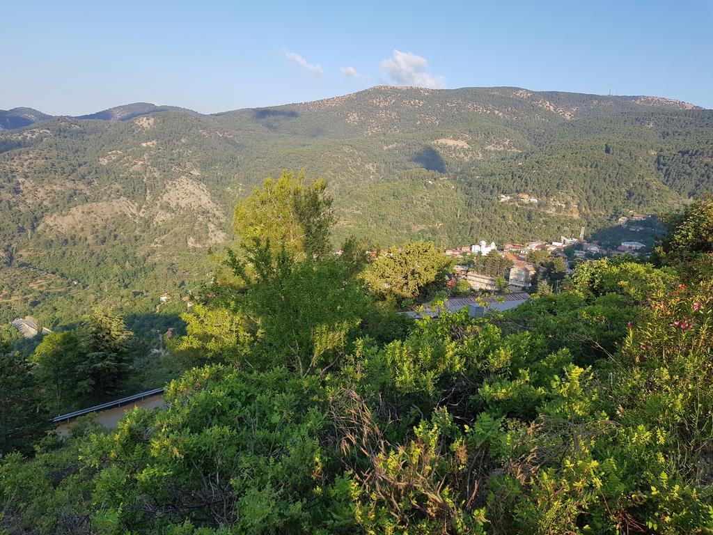 Elyssia Hotel Pedhoulas Exterior photo